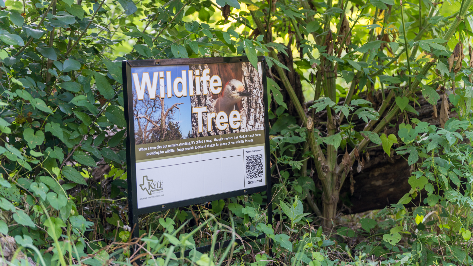 Wildlife Tree sign surrounded by greenery