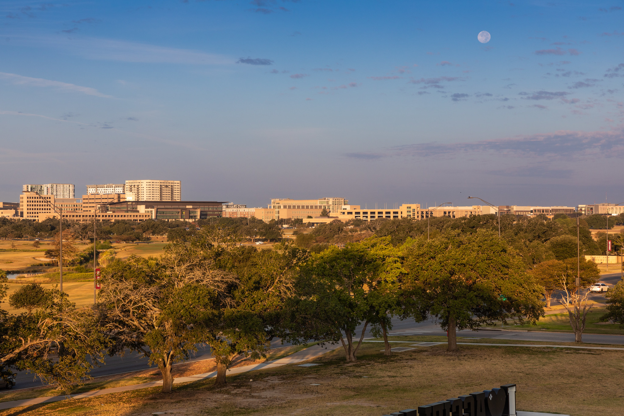 Texas A&M Campus