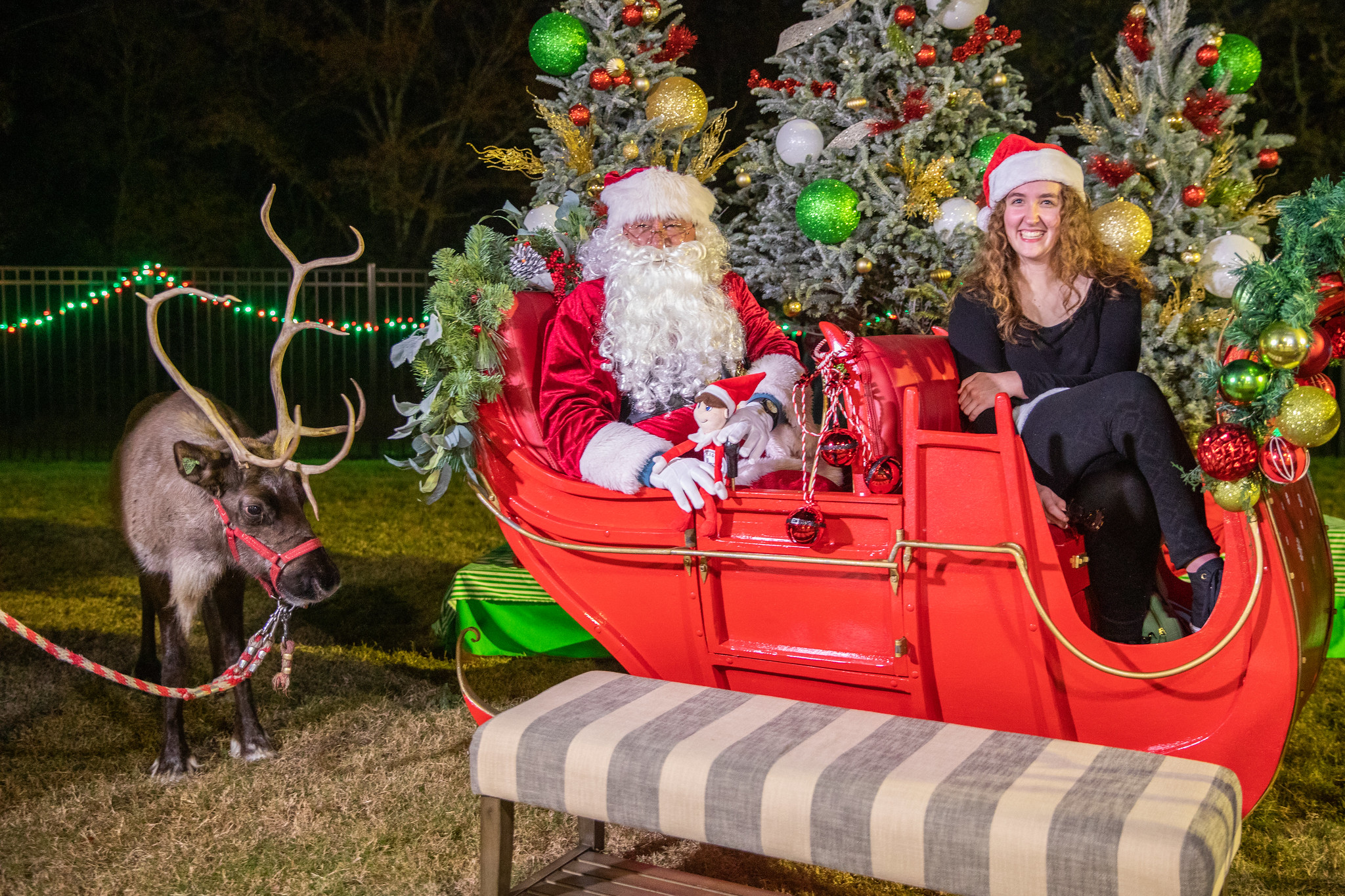Christmas in the Park Sleigh