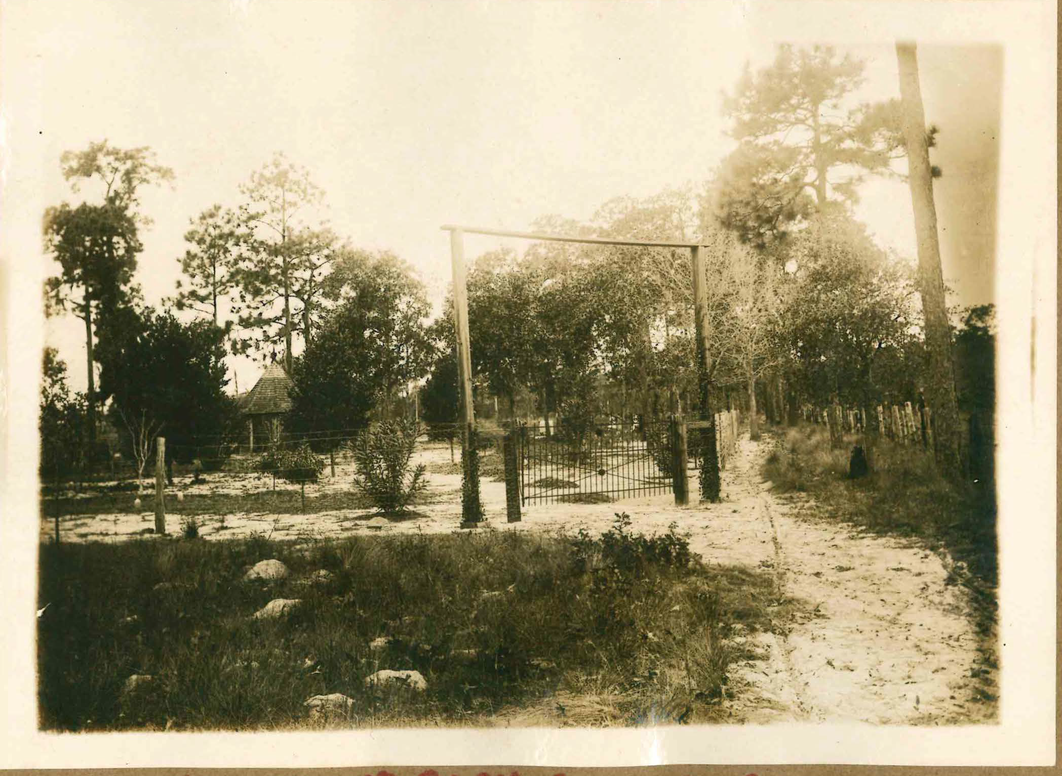 Historical Photo of Shiloh Cemetery