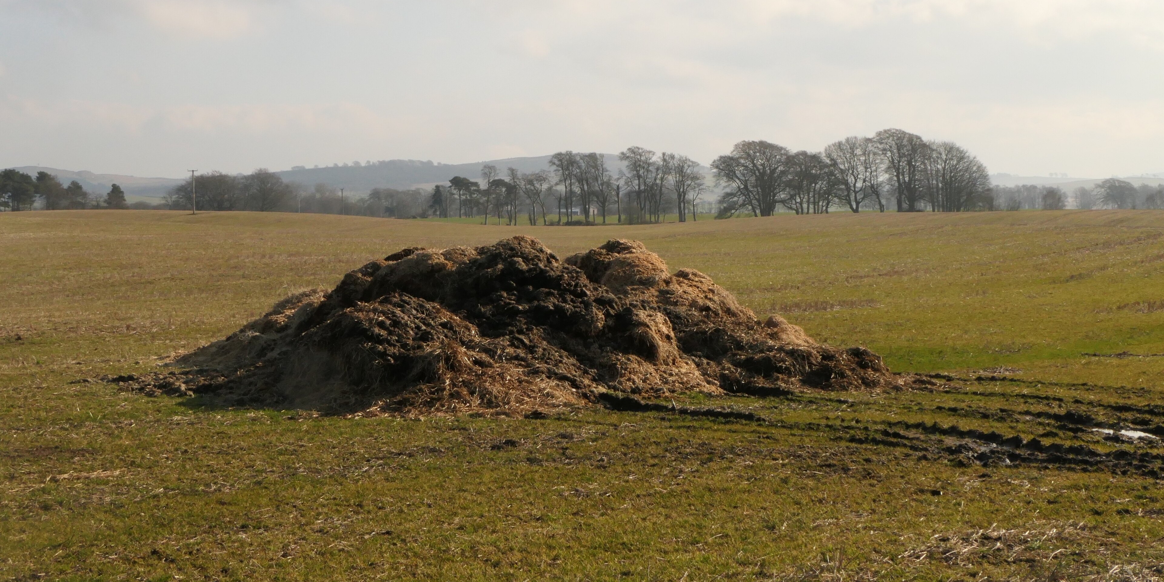 A pile of manure sits in an open field.