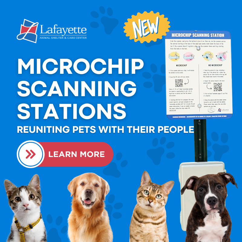 Microchip Scanning Stations