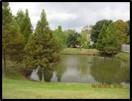 Pond