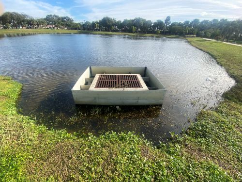 Catino Park Pond