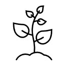Icon of a plant