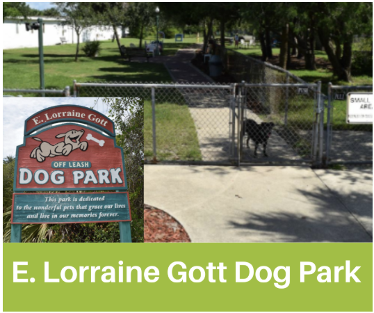 Dog Park