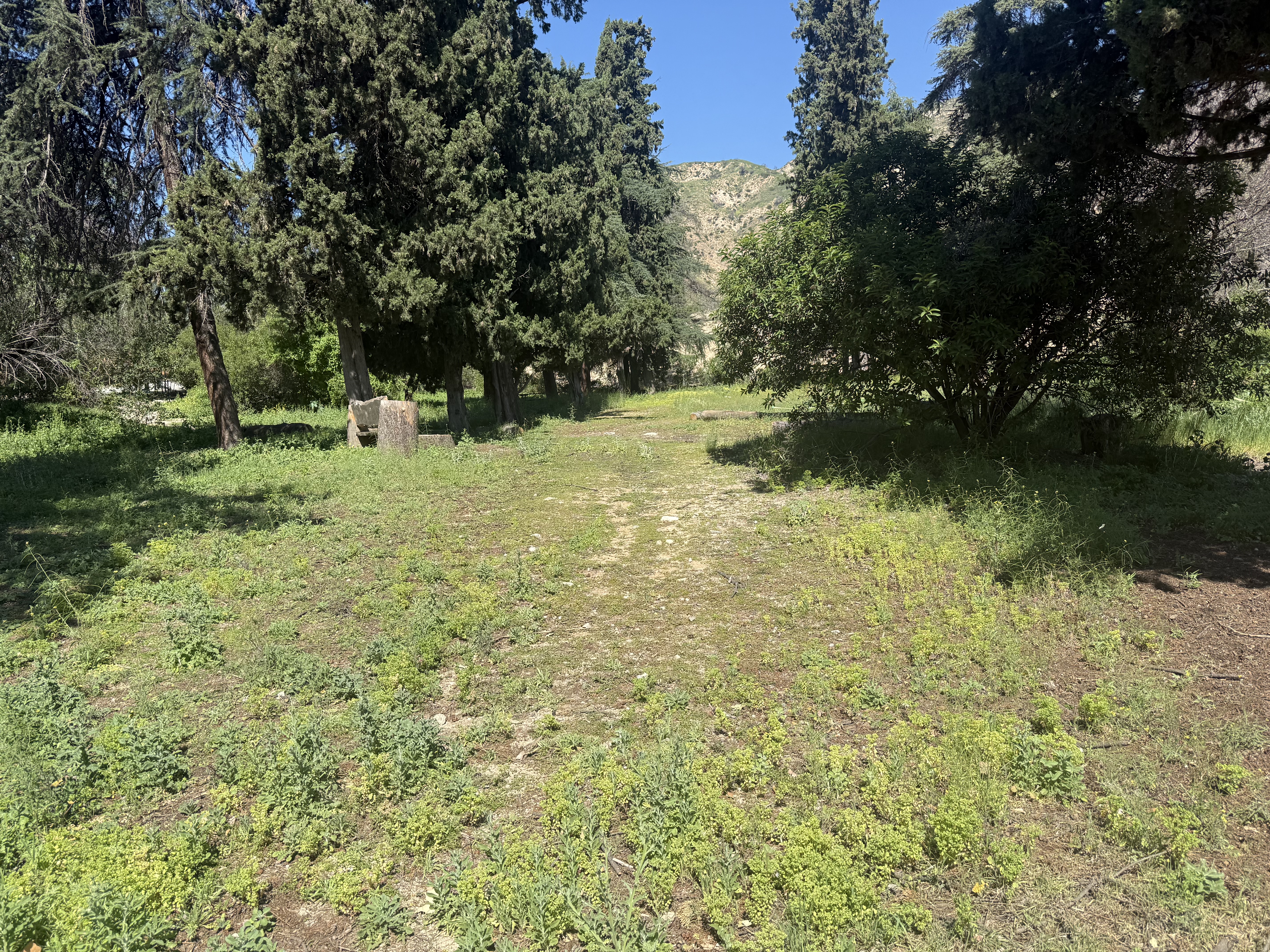 Bailey Canyon site conditions before restoration work