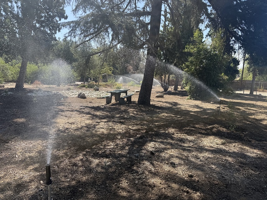 Completed Bailey Canyon irrigation system operating after restoration
