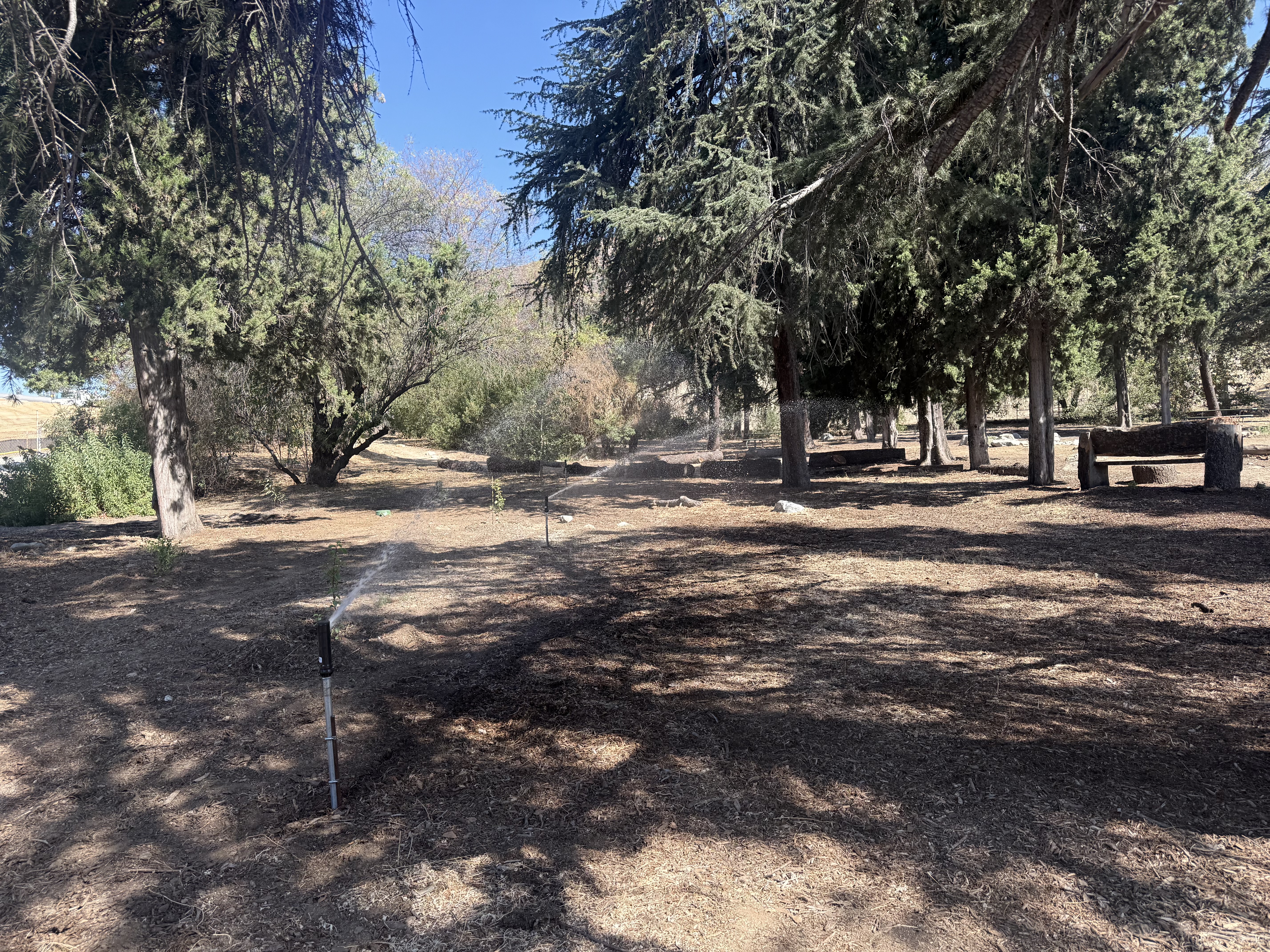 Completed Bailey Canyon restoration and irrigation improvements