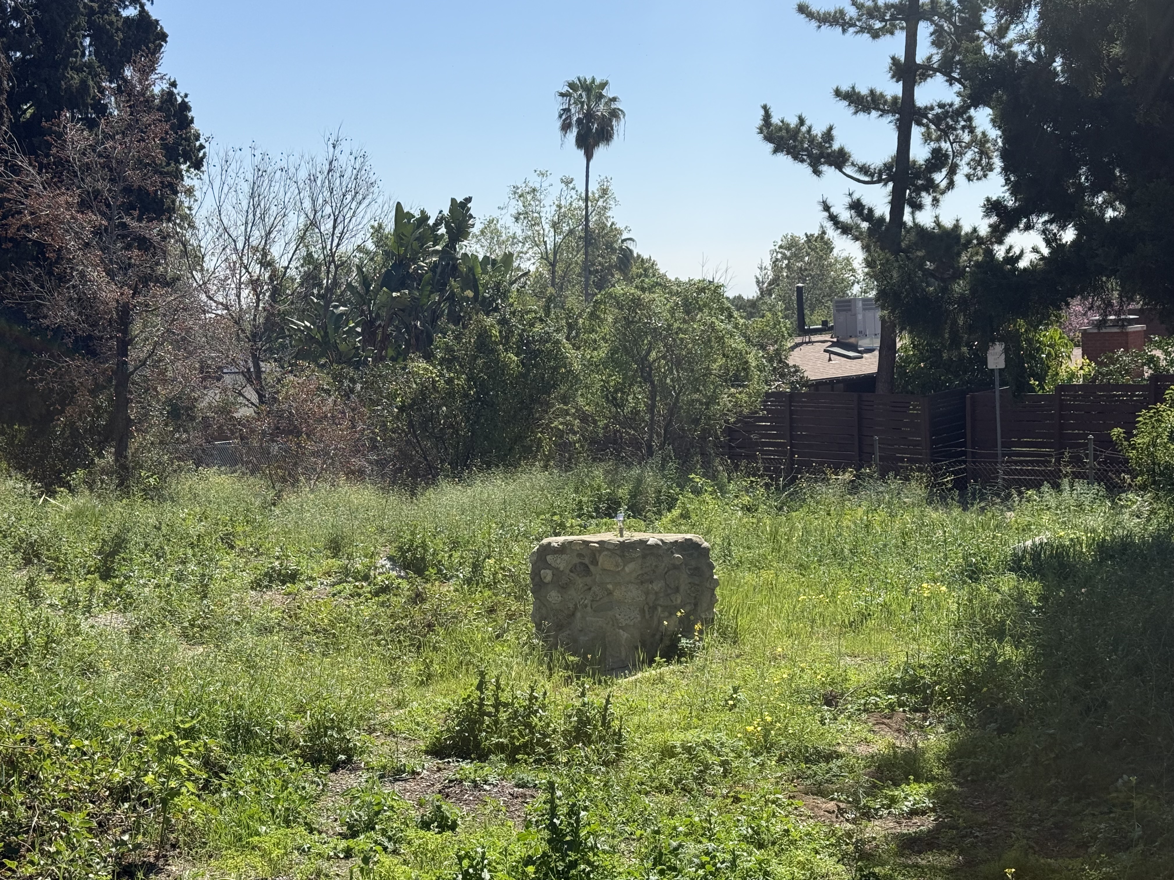 Bailey Canyon site conditions before restoration, photograph 3