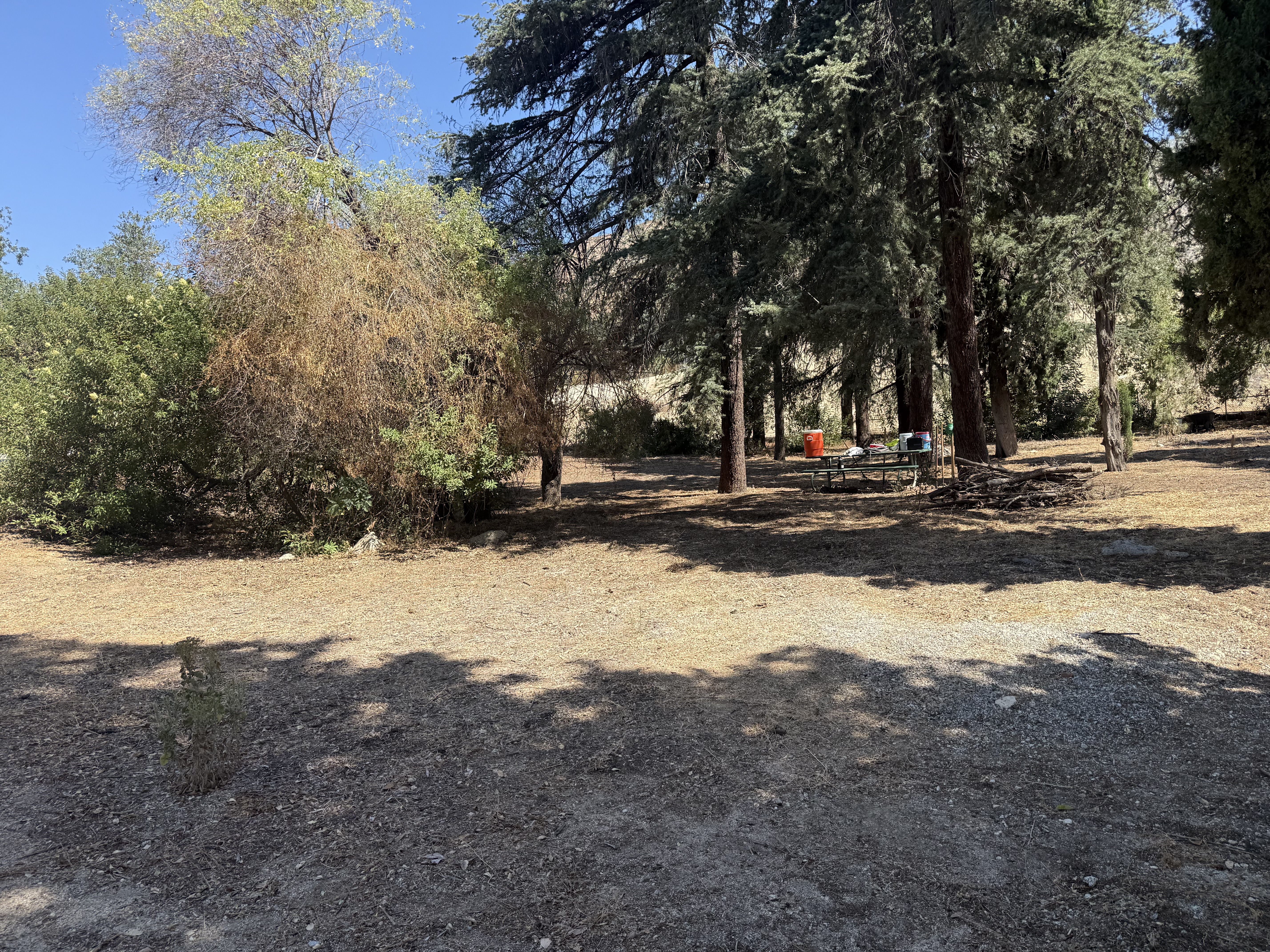 Bailey Canyon restoration work in progress, photograph 3
