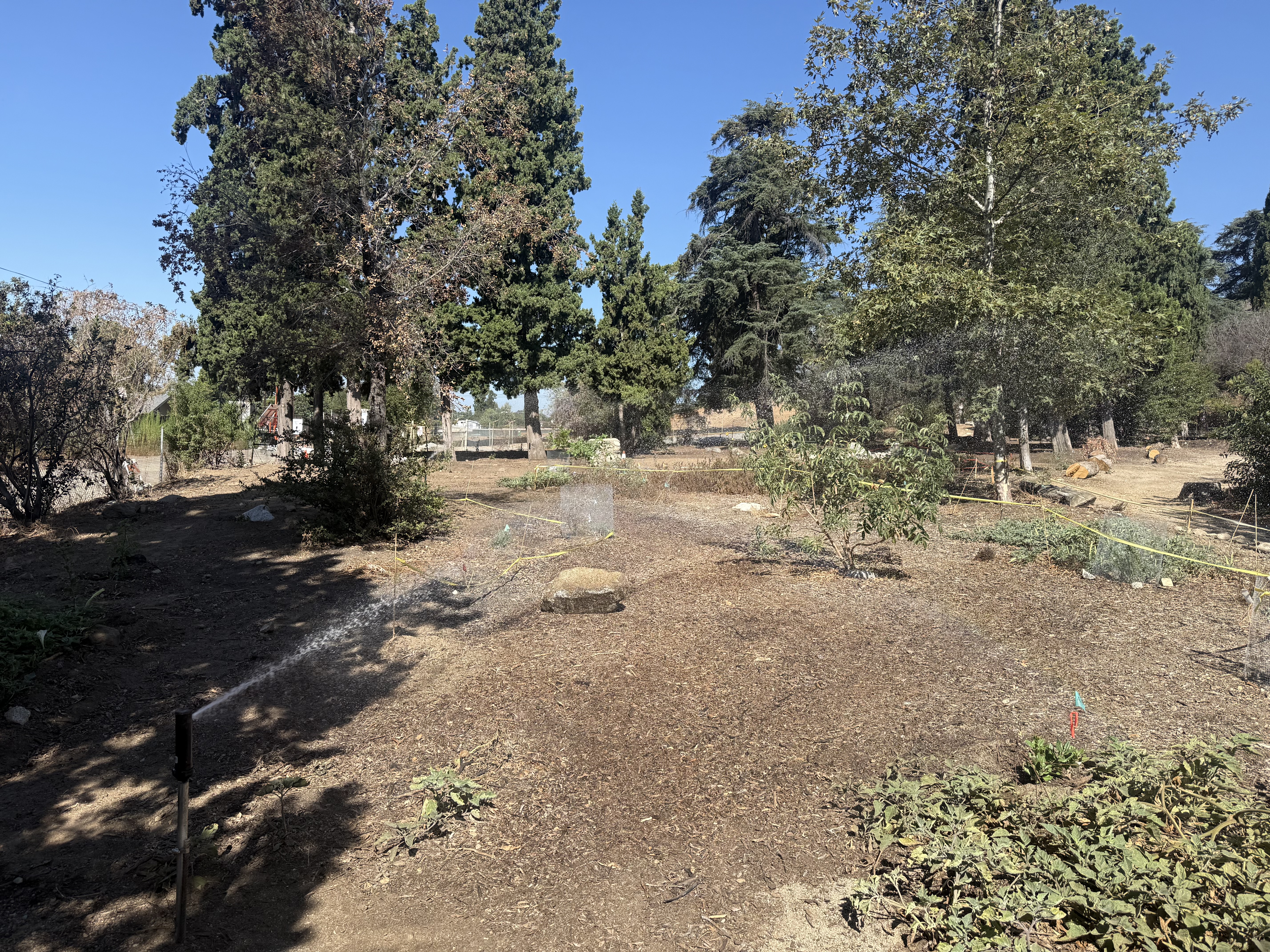 Completed Bailey Canyon irrigation improvements