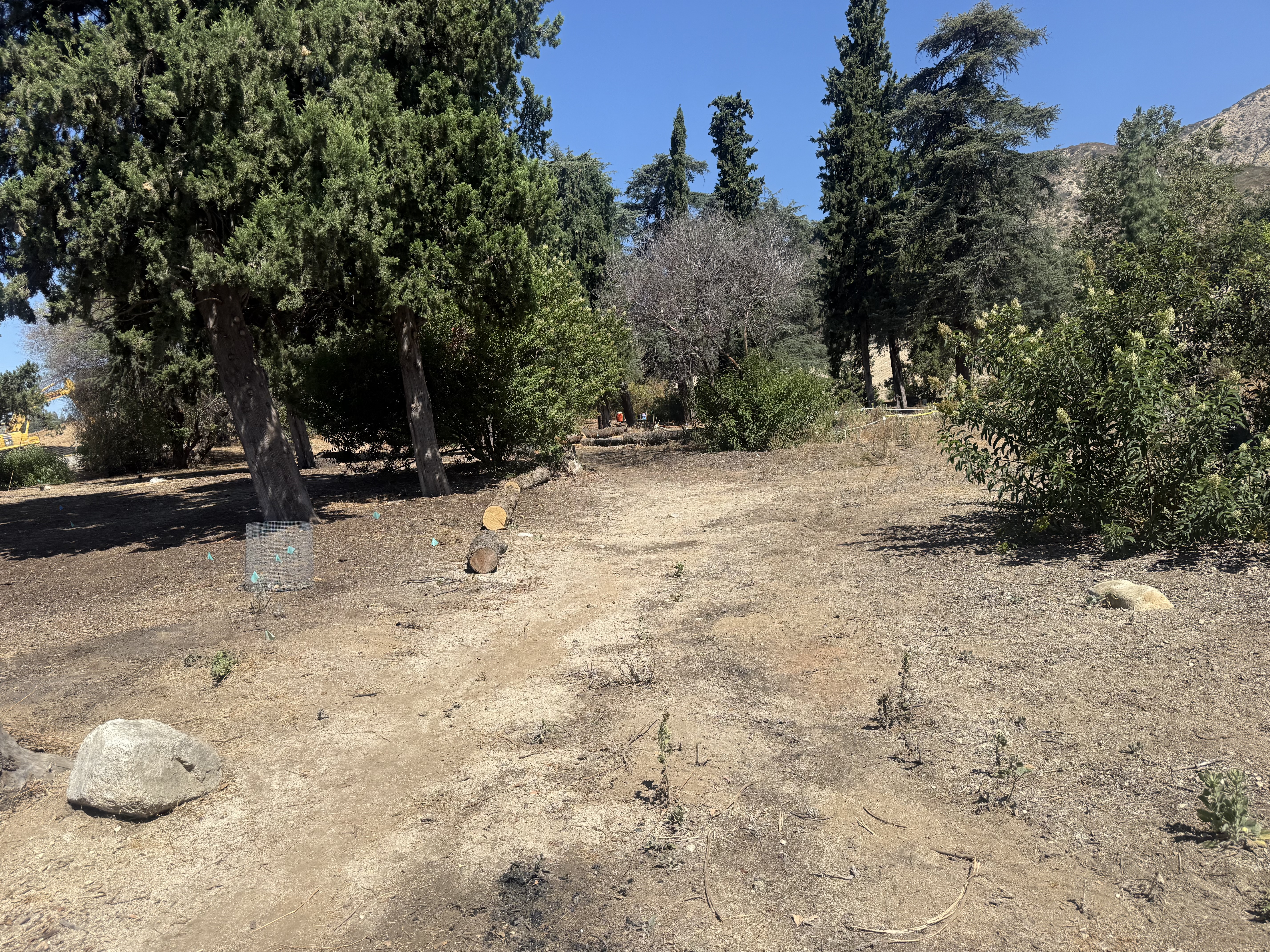 Bailey Canyon restoration work in progress, photograph 1
