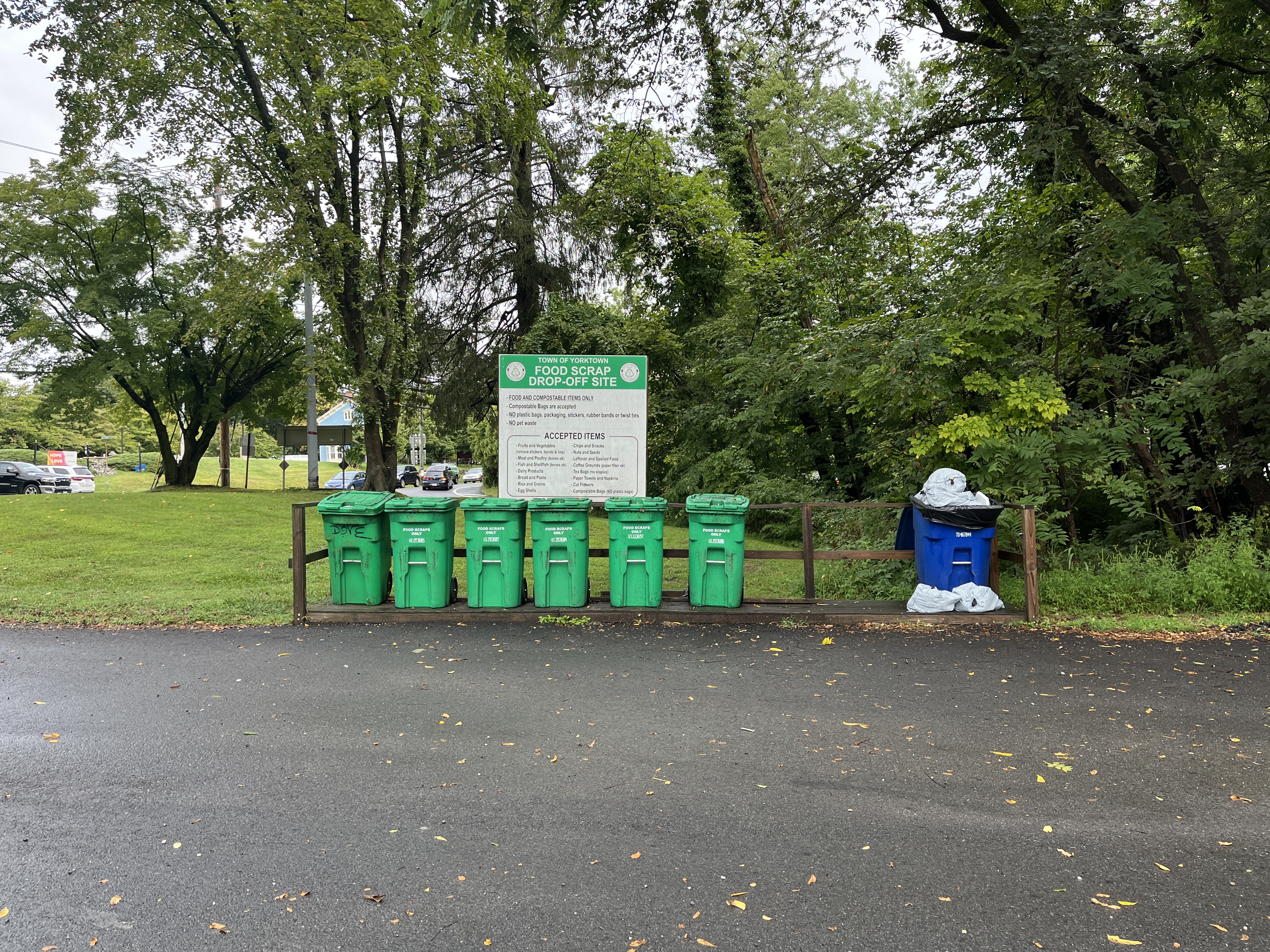Food Scraps Bins