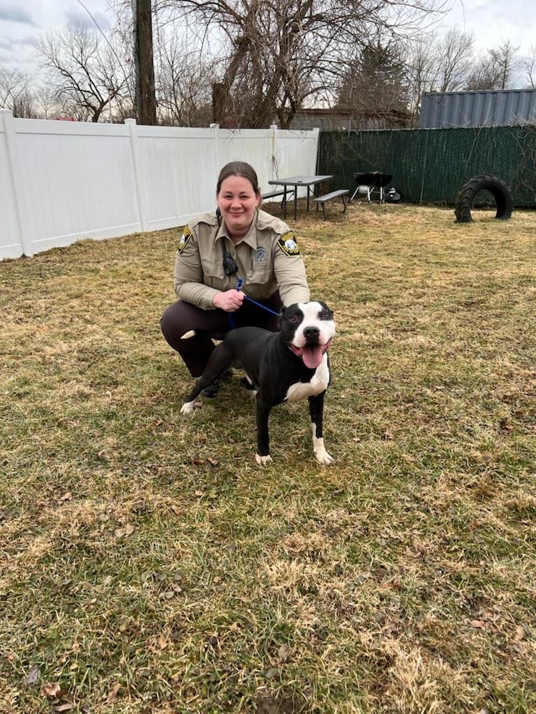 Animal Control/Community Service Worker Kristin Bohler
